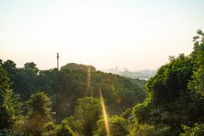 大顶岭绿道