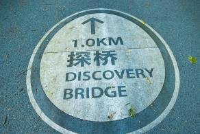 大顶岭绿道