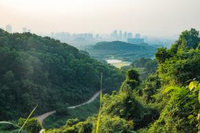 大顶岭绿道