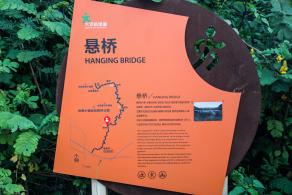 大顶岭绿道