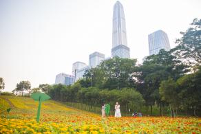 市民中心花海
