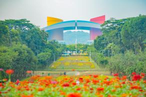 市民中心花海
