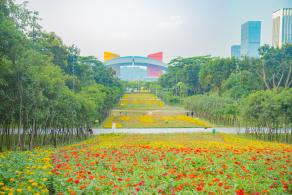市民中心花海