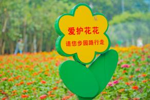 市民中心花海