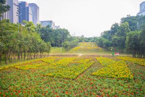 市民中心花海