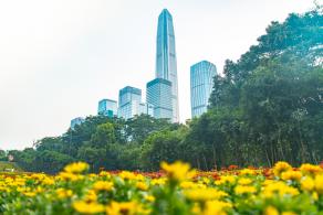 市民中心花海