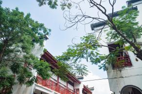 文博宫