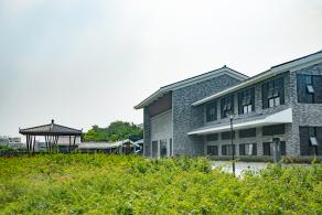 簕杜鹃谷