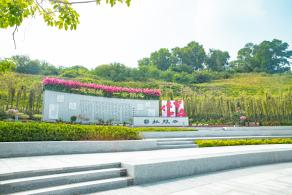 簕杜鹃谷