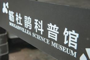 簕杜鹃谷