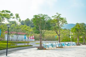 簕杜鹃谷
