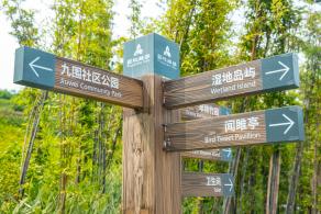 簕杜鹃谷