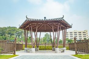 簕杜鹃谷