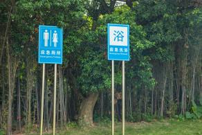 簕杜鹃谷