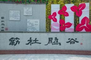 簕杜鹃谷