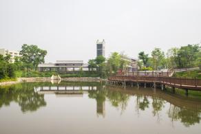 簕杜鹃谷