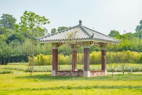 簕杜鹃谷