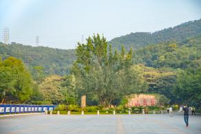 凤凰山森林公园