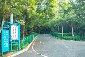 凤凰山森林公园