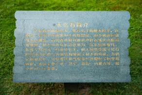 凤凰山森林公园