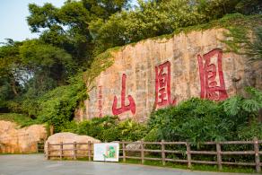凤凰山森林公园