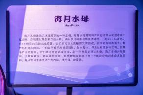 宝安科技馆