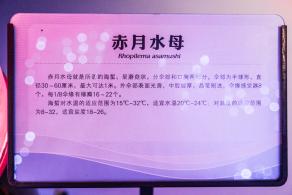 宝安科技馆