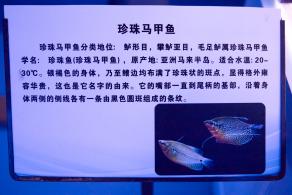 宝安科技馆