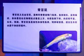宝安科技馆