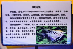 宝安科技馆