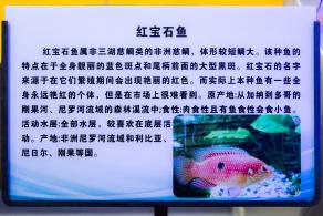 宝安科技馆