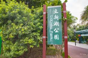 立新湖公园