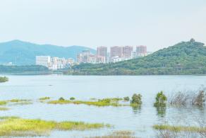 立新湖公园