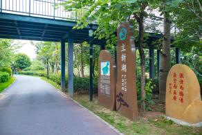 立新湖公园
