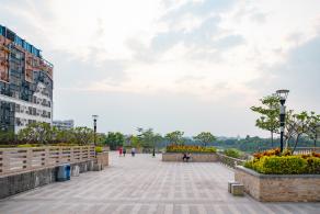 立新湖公园