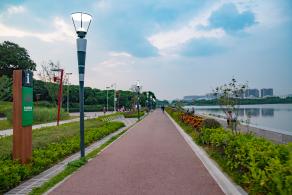 立新湖公园