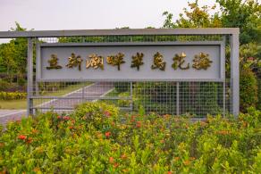 立新湖公园