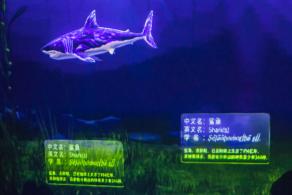 海洋奇梦馆