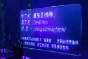 海洋奇梦馆