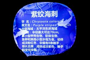 海洋奇梦馆