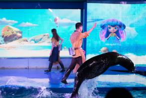 海洋奇梦馆
