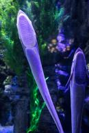 海洋奇梦馆