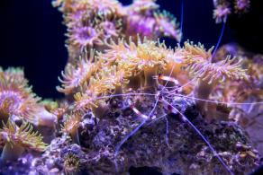 海洋奇梦馆