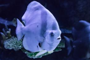 海洋奇梦馆