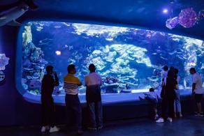 海洋奇梦馆