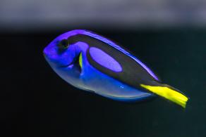 海洋奇梦馆
