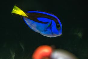 海洋奇梦馆