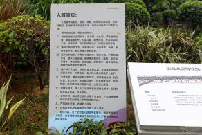 清湖文化公园