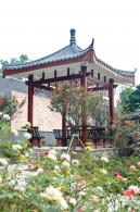 清湖文化公园