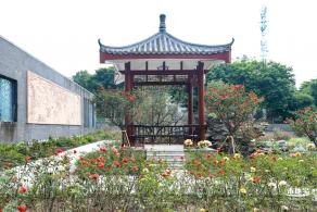 清湖文化公园